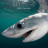NNEDSZ Sharks 2024 Square Wall Calendar Pets Animals 16Month New Year Christmas Planner