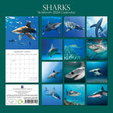 NNEDSZ Sharks 2024 Square Wall Calendar Pets Animals 16Month New Year Christmas Planner