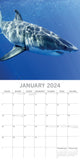 NNEDSZ Sharks 2024 Square Wall Calendar Pets Animals 16Month New Year Christmas Planner