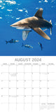 NNEDSZ Sharks 2024 Square Wall Calendar Pets Animals 16Month New Year Christmas Planner