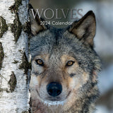 NNEDSZ Wolves - 2024 Square Wall Calendar Pets Animals 16 Months Christmas Planner Gift
