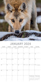 NNEDSZ Wolves - 2024 Square Wall Calendar Pets Animals 16 Months Christmas Planner Gift