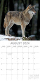 NNEDSZ Wolves - 2024 Square Wall Calendar Pets Animals 16 Months Christmas Planner Gift