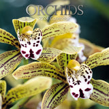 NNEDSZ Orchids 2024 Square Wall Calendar 16Month Floral Planner Christmas New Year Gift