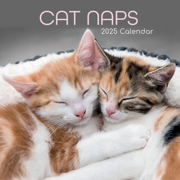 NNEDSZ Cat Naps - 2025 Square Wall Calendar Pets Animals 16 Months Premium Planner Gift