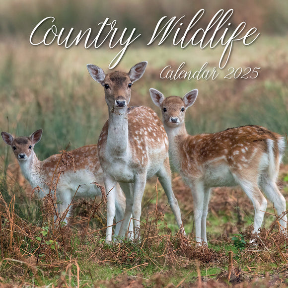 NNEDSZ Country Wildlife - 2025 Square Wall Calendar Animals 16 Months Premium Planner