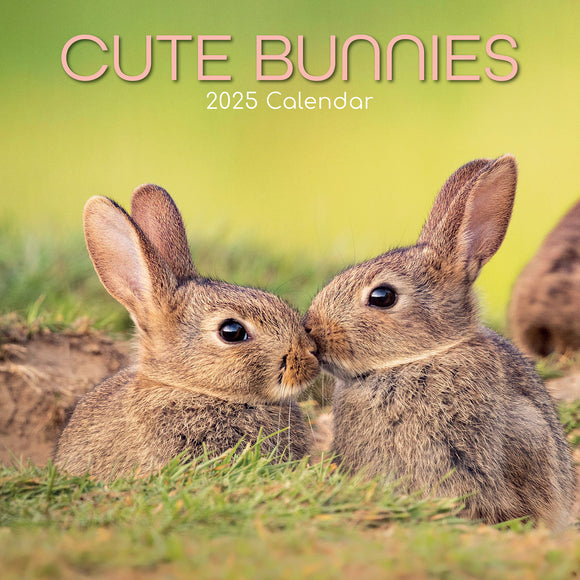 NNEDSZ Cute Bunnies - 2025 Square Wall Calendar Pets Animals 16 Months Premium Planner