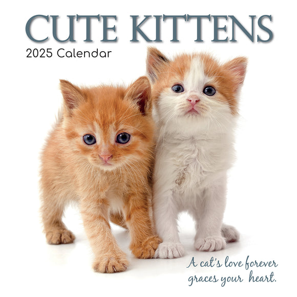 NNEDSZ Cute Kittens - 2025 Square Wall Calendar Pets Animals 16 Months Premium Planner