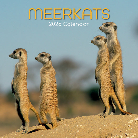 NNEDSZ Meerkats - 2025 Square Wall Calendar Pets Animals 16 Months Premium Planner Gift