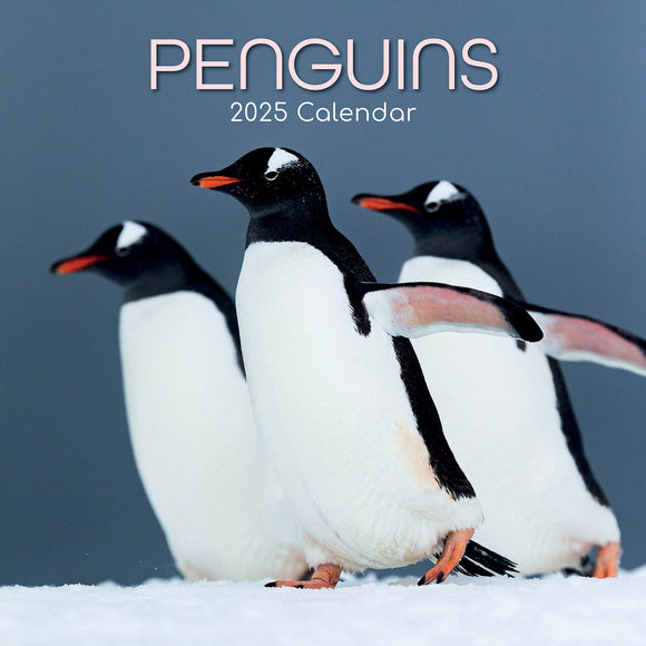 NNEDSZ Penguins - 2025 Square Wall Calendar Pets Animals 16 Months Premium Planner Gift
