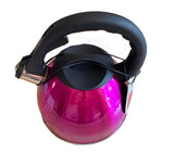 NNEDSZ 2.6L Stainless Steel Whistling Kettle