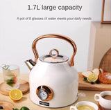 NNEDSZ 1.7L Electric Water Kettle