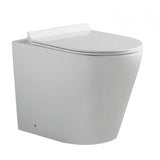 NNEDSZ Flay-R Rimless back to wall floor pan