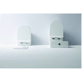 NNEDSZ Flay-R Rimless back to wall floor pan