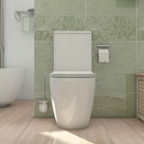 NNEDSZ Alexander-R Rimless Toilet Suite