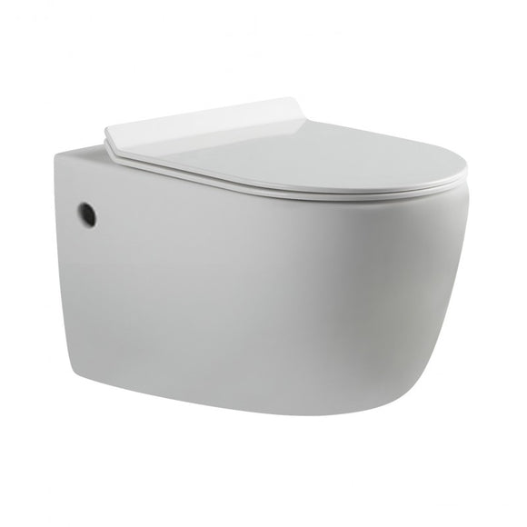 NNEDSZ Alexander-R Rimless wall hung Pan
