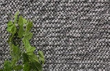 NNEDSZ Loopy Charcoal Wool Blend Rug 200x290