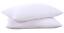 NNEDSZ Puredown Goose Down and Feather Pillow Inserts for Sleeping, 100% Cotton Fabric Cover Bed Pillows, Set of 2, White, King Size