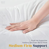 NNEDSZ Puredown Goose Down and Feather Pillow Inserts for Sleeping, 100% Cotton Fabric Cover Bed Pillows, Set of 2, White, Queen Size