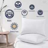 NNEDSZ Puredown Goose Down and Feather Pillow Inserts for Sleeping, 100% Cotton Fabric Cover Bed Pillows, Set of 2, White, Queen Size