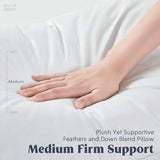 NNEDSZ Puredown Goose Down and Feather Pillow Inserts for Sleeping, 100% Cotton Fabric Cover Bed Pillows, Set of 2, White, Queen Size