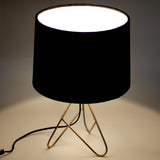 NNEDSZ Belira Table Lamp - Copper