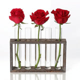 NNEDSZ Minimalist Hydroponic Glass Vase with Wooden Frame for Coffee Shop Decor