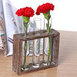 NNEDSZ Minimalist Hydroponic Glass Vase with Wooden Frame for Coffee Shop Decor