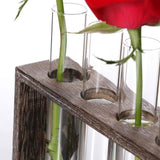 NNEDSZ Minimalist Hydroponic Glass Vase with Wooden Frame for Coffee Shop Decor