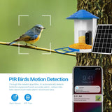 NNEDSZ 2Mp Wifi Camera With Ai Bird Recognition And Pir Motion Detection