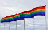 NNEDSZ DELUXE RAINBOW GAY PRIDE FLAG Outdoor Banner 150x90cm 3x5ft with Metal Eyelets