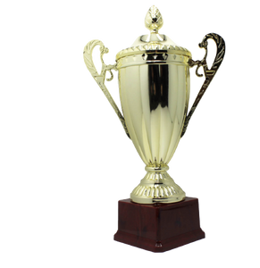 NNEDSZ Large Classic Gold Trophy Cup Novelty Winners Prize Solid Achievement Award