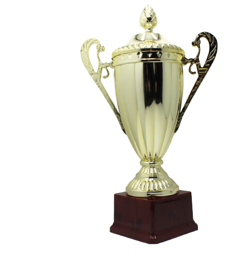 NNEDSZ Large Classic Gold Trophy Cup Novelty Winners Prize Solid Achievement Award