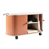 NNEDSZ UFOU Fitin Rollin Mobile Roller Shutter Cabinet - Storage with Adjustable Shelves & Wheels