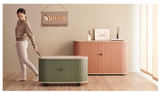 NNEDSZ UFOU Fitin Rollin Mobile Roller Shutter Cabinet - Storage with Adjustable Shelves & Wheels