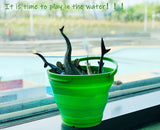 NNEDSZ 7 Litre Foldable Collapsible Silicone Bucket for Home/Hiking/Camping/Fishing - Green