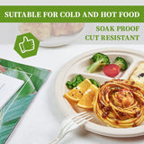 NNEDSZ 600pcs Disposable Sugarcane Bagasse 3-Compartment Paper Plates Eco 23cm (9") Bulk