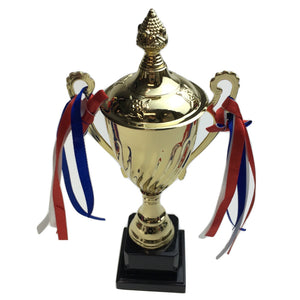 NNEDSZ 30cm TROPHY CUP Sport Award Football School Table Tennis Gold Winner