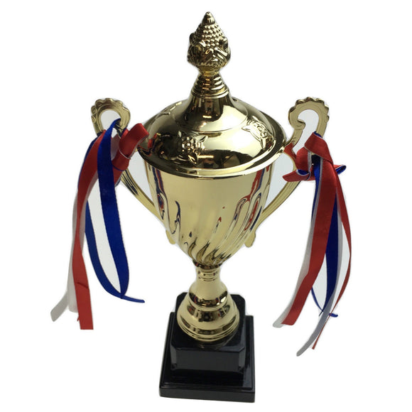 NNEDSZ 30cm TROPHY CUP Sport Award Football School Table Tennis Gold Winner