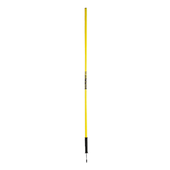 NNEDSZ 10x Agility Slalom Training Poles with Spike Base