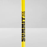 NNEDSZ 10x Agility Slalom Training Poles with Spike Base