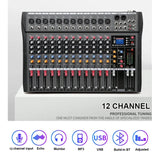 NNEDSZ Hridz 12 Channel Mixing Console Live Studio Audio DJ Mixer Sound Board USB Interface