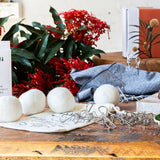 NNEDSZ Eco Friendly Laundry Bundle | Pegs & Dryer Balls