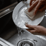 NNEDSZ Natural Loofah Cellulose Sponges (Pack of 3) | Eco Cleaning