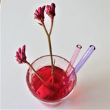NNEDSZ Glass Drinking Straw Set with Metal Straw Cleaner