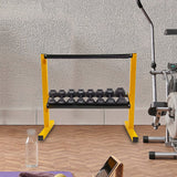NNEDSZ 2 Tier Dumbbell Rack for Dumbbell Weights Storage