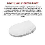 NNEDSZ Non Electric Bidet Toilet Seat W/ Cover Bathroom SpWater Wash