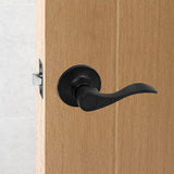 NNEDSZ Door Handle Set Lever Passage Function Black