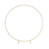 NNEDSZ 3M Gold Wedding Hoop Round Circle Arch Backdrop Flower Display Stand Frame Background