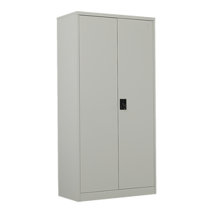 NNEDSZ Two-Door Metal Cabinet Shelf Storage for Home Office Gym